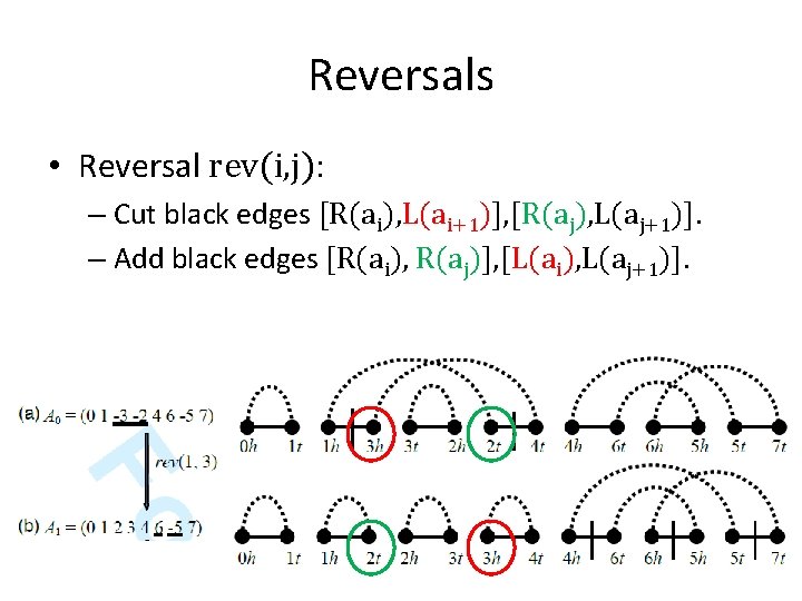 Reversals • Reversal rev(i, j): – Cut black edges [R(ai), L(ai+1)], [R(aj), L(aj+1)]. –