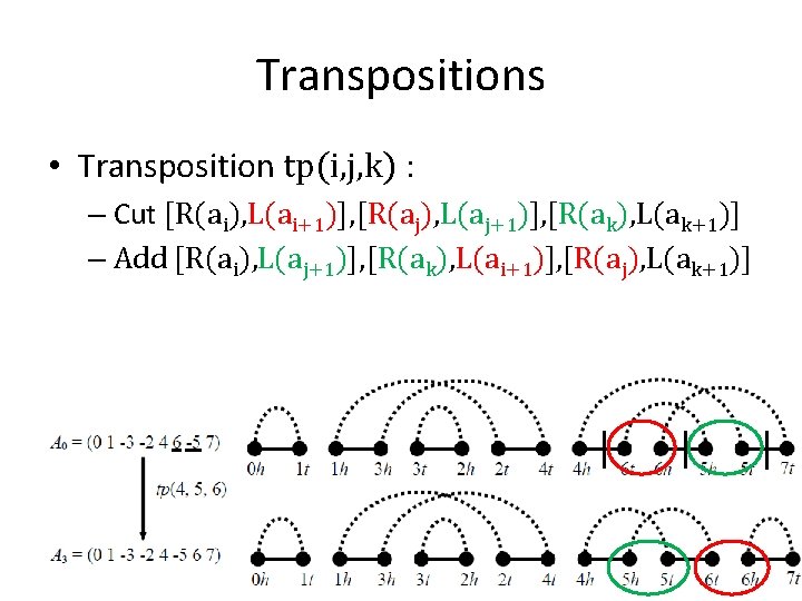 Transpositions • Transposition tp(i, j, k) : – Cut [R(ai), L(ai+1)], [R(aj), L(aj+1)], [R(ak),