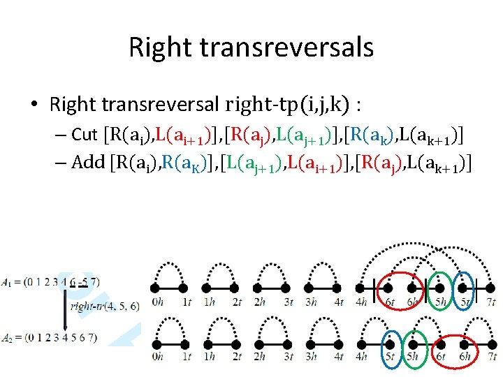Right transreversals • Right transreversal right-tp(i, j, k) : – Cut [R(ai), L(ai+1)], [R(aj),