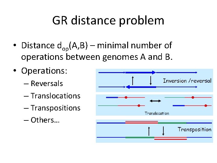 GR distance problem • Distance dop(A, B) – minimal number of operations between genomes