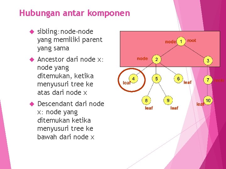 Hubungan antar komponen sibling：node-node yang memiliki parent yang sama Ancestor dari node x： node