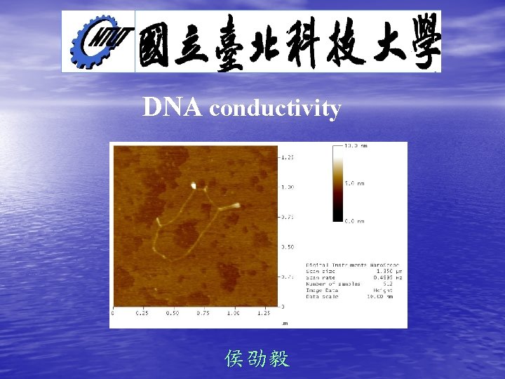 DNA conductivity 侯劭毅 