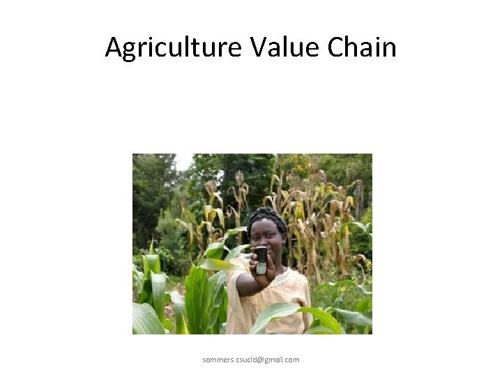 Agriculture Value Chain sommers. csucid@gmail. com 