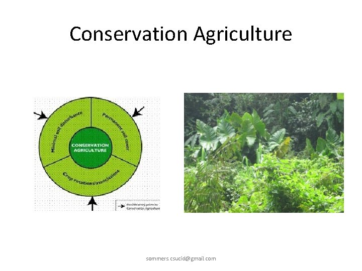 Conservation Agriculture sommers. csucid@gmail. com 
