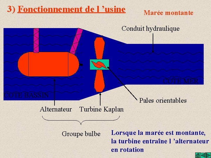 3) Fonctionnement de l ’usine Marée montante Conduit hydraulique COTE MER COTE BASSIN Pales