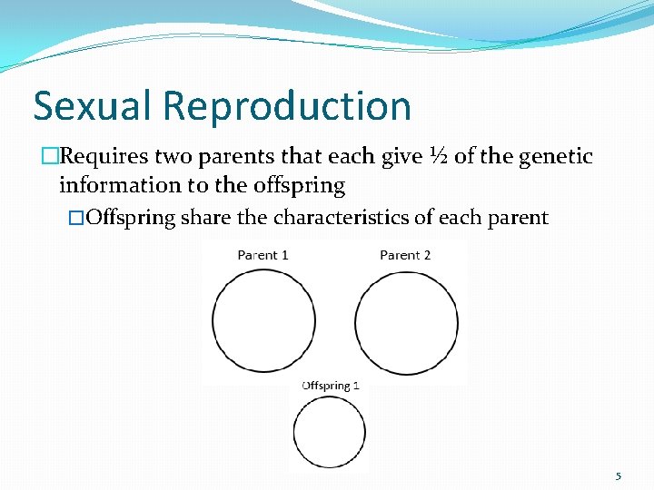 Sexual Reproduction �Requires two parents that each give ½ of the genetic information to