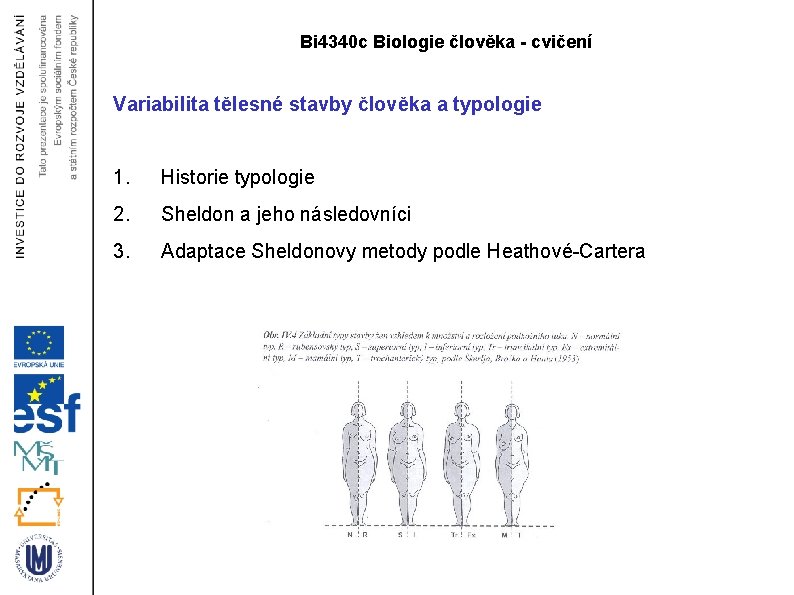 Bi 4340 c Biologie člověka - cvičení Variabilita tělesné stavby člověka a typologie 1.