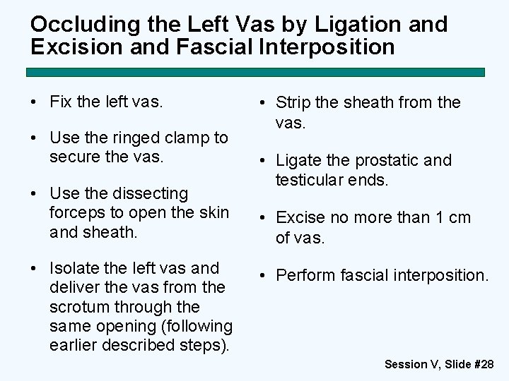 Occluding the Left Vas by Ligation and Excision and Fascial Interposition • Fix the