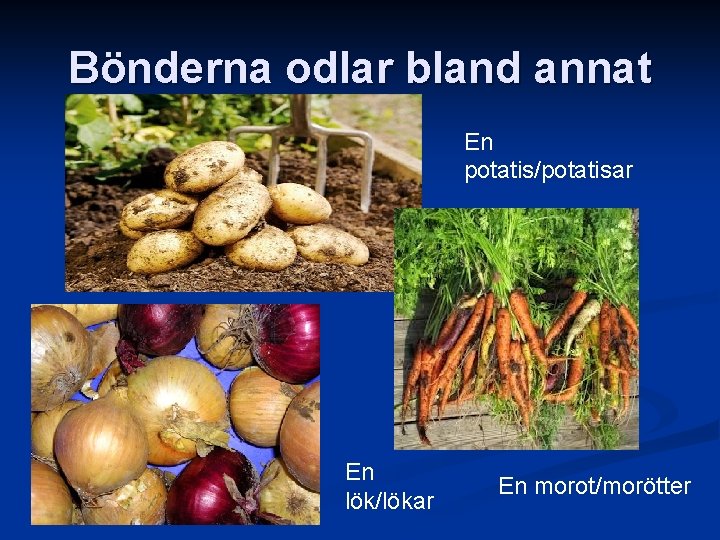 Bönderna odlar bland annat En potatis/potatisar En lök/lökar En morot/morötter 