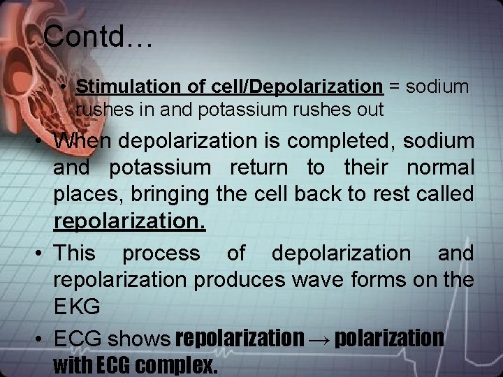 Contd… • Stimulation of cell/Depolarization = sodium rushes in and potassium rushes out • Contd… • Stimulation of cell/Depolarization = sodium rushes in and potassium rushes out •