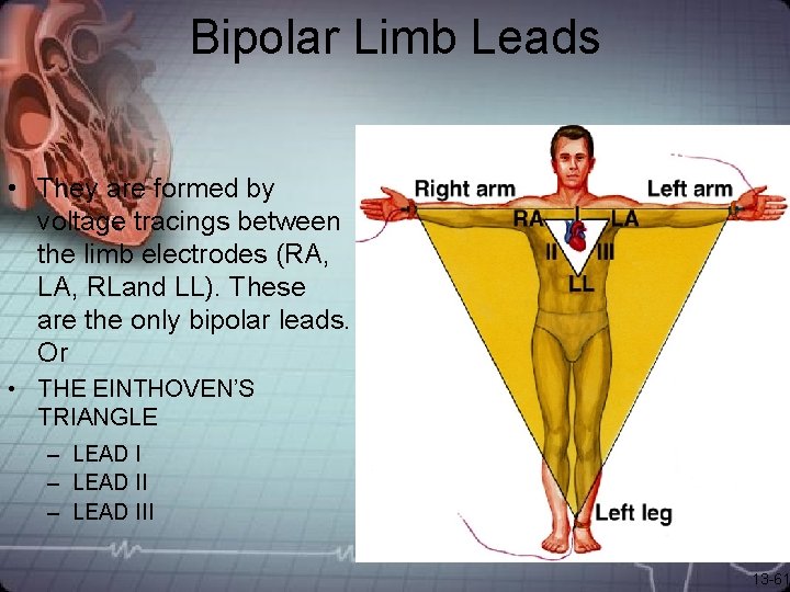Bipolar Limb Leads • They are formed by voltage tracings between the limb electrodes Bipolar Limb Leads • They are formed by voltage tracings between the limb electrodes