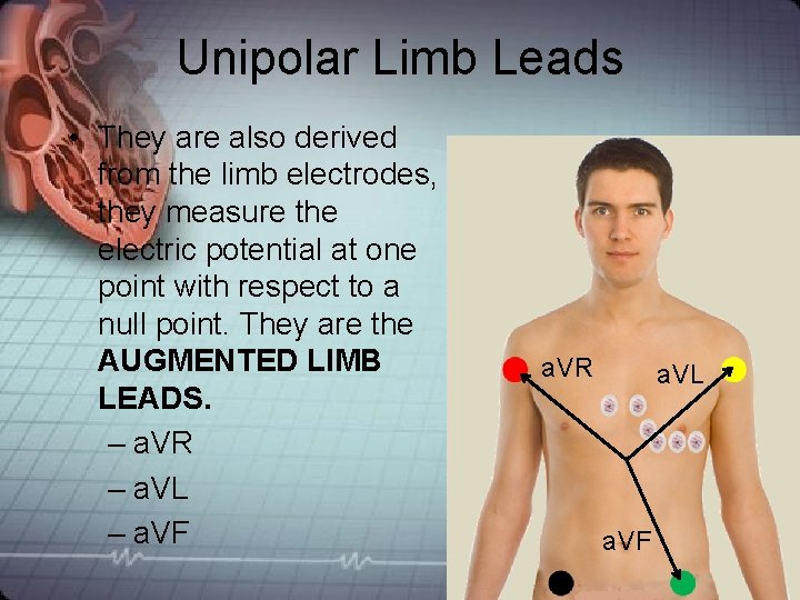 Unipolar Limb Leads • They are also derived from the limb electrodes, they measure Unipolar Limb Leads • They are also derived from the limb electrodes, they measure