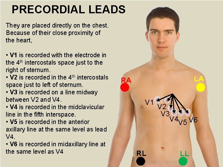 PRECORDIAL LEADS They are placed directly on the chest. Because of their close proximity PRECORDIAL LEADS They are placed directly on the chest. Because of their close proximity