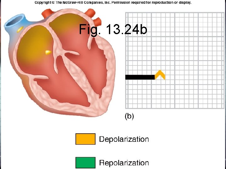 Fig. 13. 24 b Fig. 13. 24 b