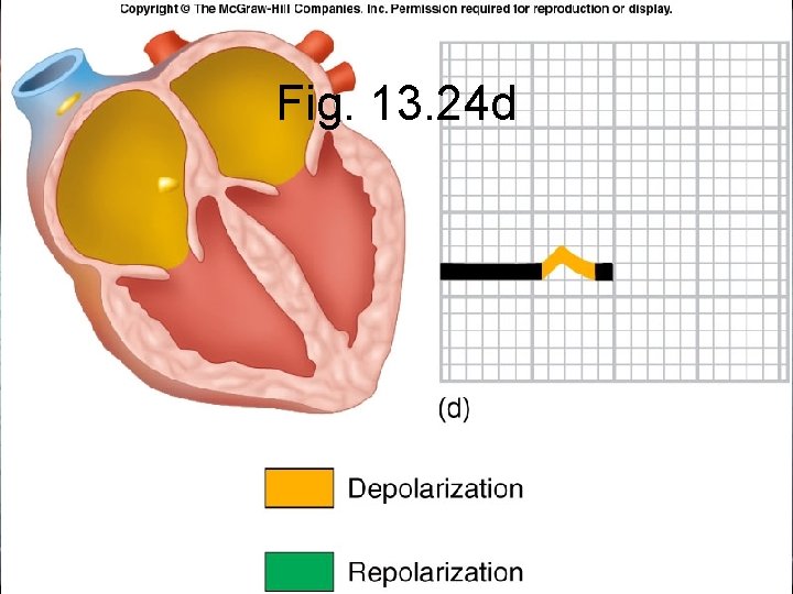 Fig. 13. 24 d Fig. 13. 24 d