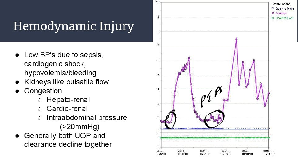 Hemodynamic Injury ● Low BP’s due to sepsis, cardiogenic shock, hypovolemia/bleeding ● Kidneys like