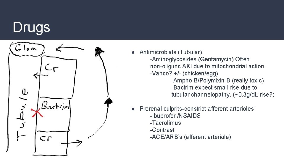 Drugs ● Antimicrobials (Tubular) -Aminoglycosides (Gentamycin) Often non-oliguric AKI due to mitochondrial action. -Vanco?