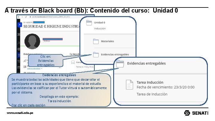 A través de Black board (Bb): Contenido del curso: Unidad 0 Clic en: Evidencias