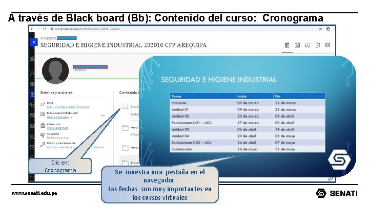 A través de Black board (Bb): Contenido del curso: Cronograma Clic en: Cronograma www.