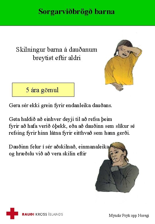 Sorgarviðbrögð barna Skilningur barna á dauðanum breytist eftir aldri 5 ára gömul Gera sér