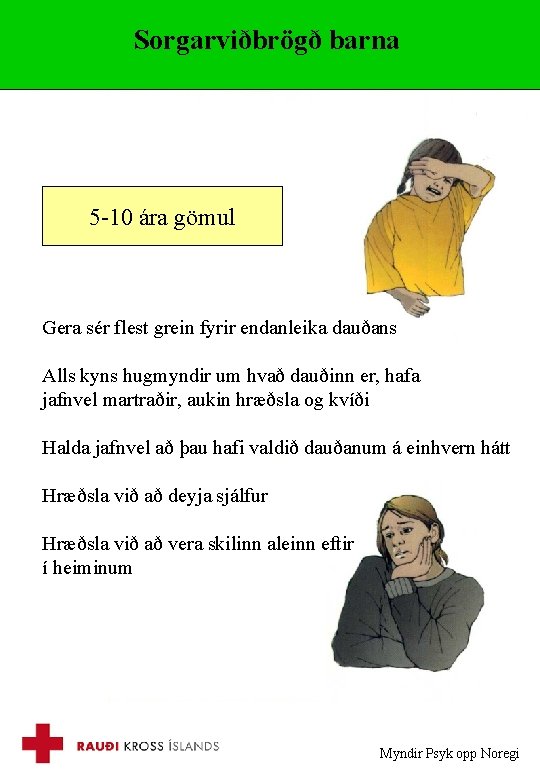 Sorgarviðbrögð barna 5 -10 ára gömul Gera sér flest grein fyrir endanleika dauðans Alls