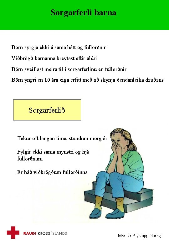 Sorgarferli barna Börn syrgja ekki á sama hátt og fullorðnir Viðbrögð barnanna breytast eftir