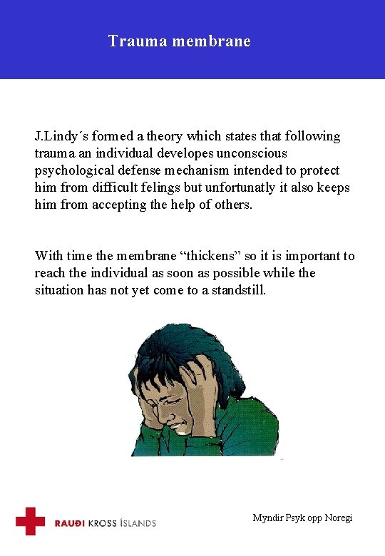 Trauma membrane J. Lindy´s formed a theory which states that following trauma an individual
