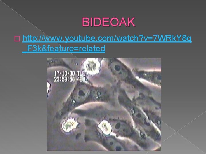 BIDEOAK � http: //www. youtube. com/watch? v=7 WRk. Y 8 q _F 3 k&feature=related
