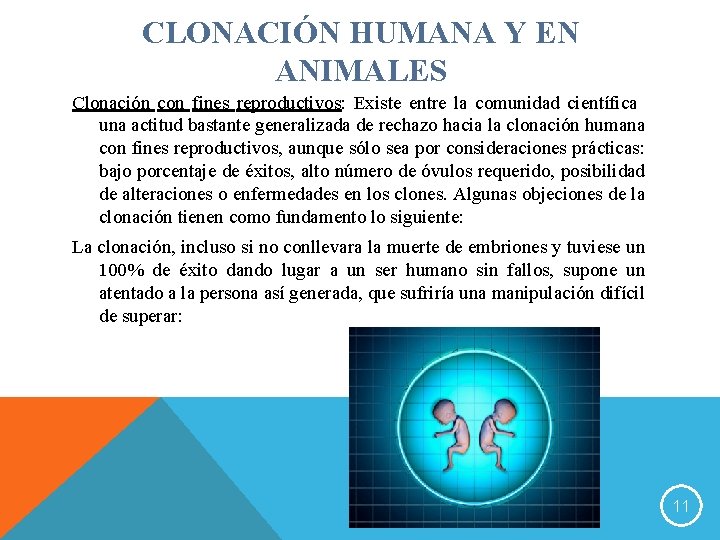 CLONACIÓN HUMANA Y EN ANIMALES Clonación con fines reproductivos: Existe entre la comunidad científica