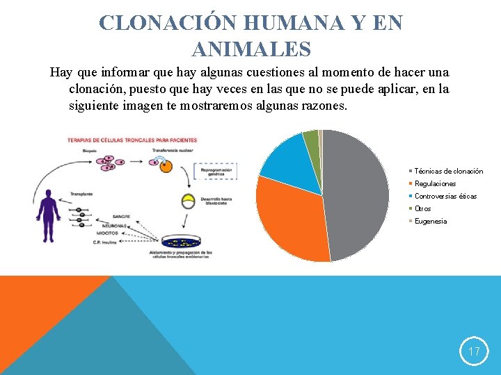 CLONACIÓN HUMANA Y EN ANIMALES Hay que informar que hay algunas cuestiones al momento