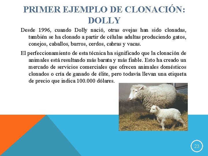 PRIMER EJEMPLO DE CLONACIÓN: DOLLY Desde 1996, cuando Dolly nació, otras ovejas han sido