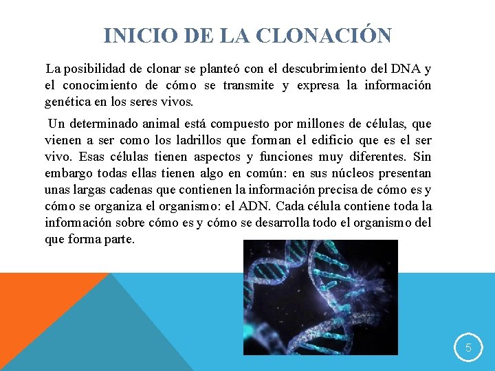 INICIO DE LA CLONACIÓN La posibilidad de clonar se planteó con el descubrimiento del