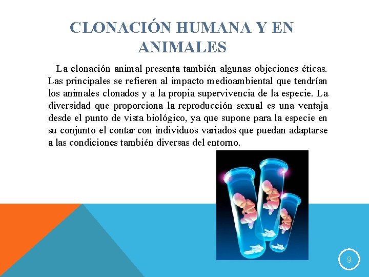 CLONACIÓN HUMANA Y EN ANIMALES La clonación animal presenta también algunas objeciones éticas. Las