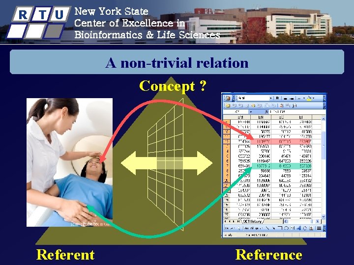 R T U New York State Center of Excellence in Bioinformatics & Life Sciences