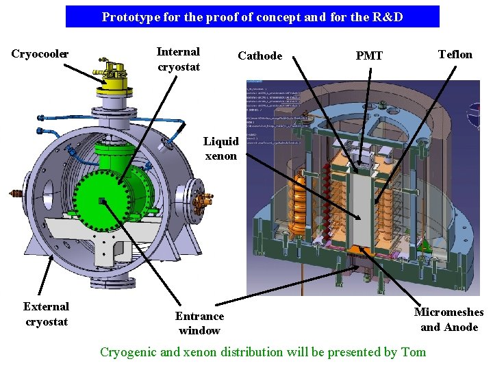 Prototype for the proof of concept and for the R&D Cryocooler Internal cryostat Cathode