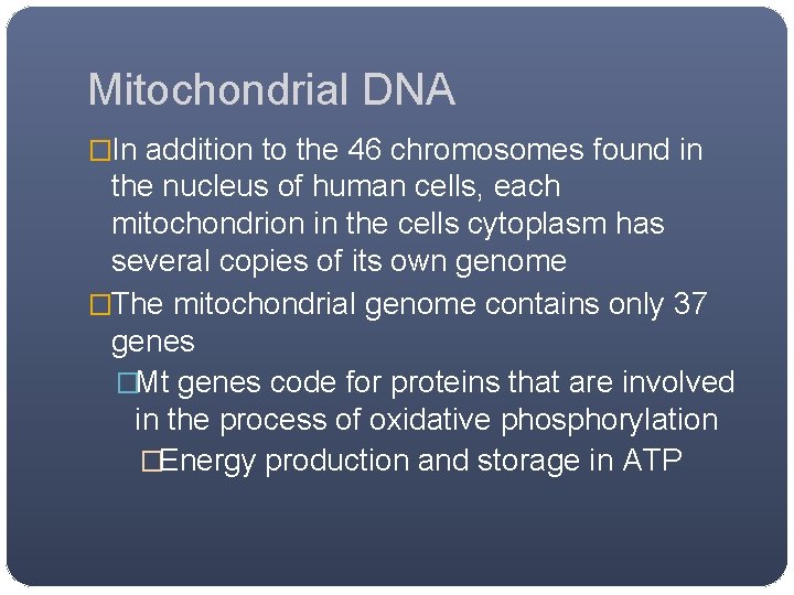 Mitochondrial DNA �In addition to the 46 chromosomes found in the nucleus of human Mitochondrial DNA �In addition to the 46 chromosomes found in the nucleus of human