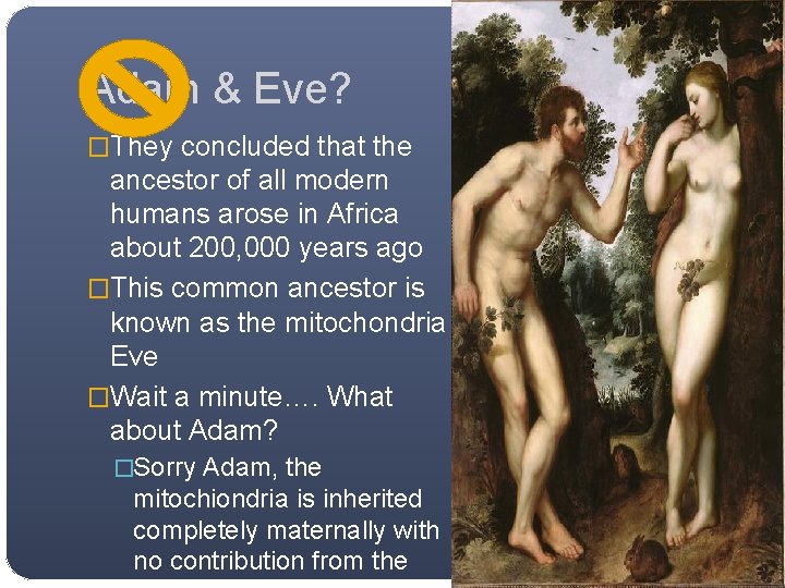 Adam & Eve? �They concluded that the ancestor of all modern humans arose in Adam & Eve? �They concluded that the ancestor of all modern humans arose in