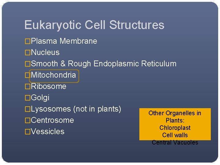 Eukaryotic Cell Structures �Plasma Membrane �Nucleus �Smooth & Rough Endoplasmic Reticulum �Mitochondria �Ribosome �Golgi Eukaryotic Cell Structures �Plasma Membrane �Nucleus �Smooth & Rough Endoplasmic Reticulum �Mitochondria �Ribosome �Golgi