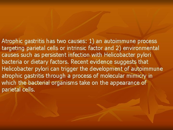 Atrophic gastritis has two causes: 1) an autoimmune process targeting parietal cells or intrinsic