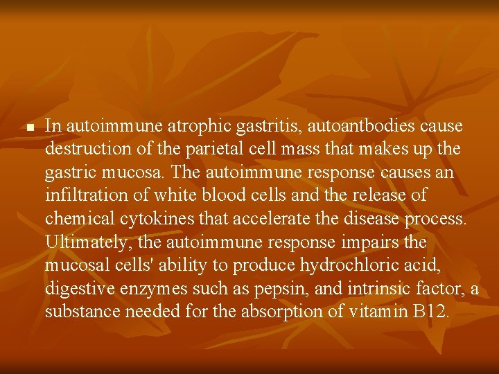 n In autoimmune atrophic gastritis, autoantbodies cause destruction of the parietal cell mass that