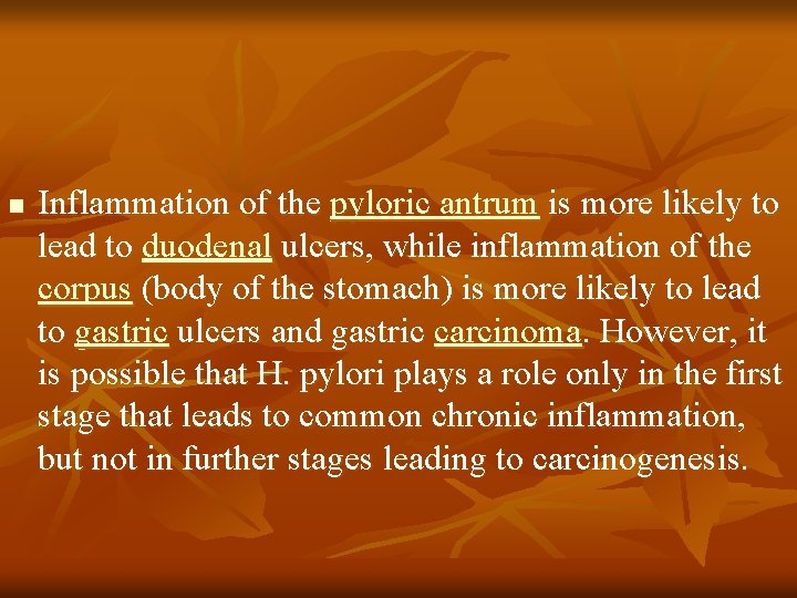 n Inflammation of the pyloric antrum is more likely to lead to duodenal ulcers,