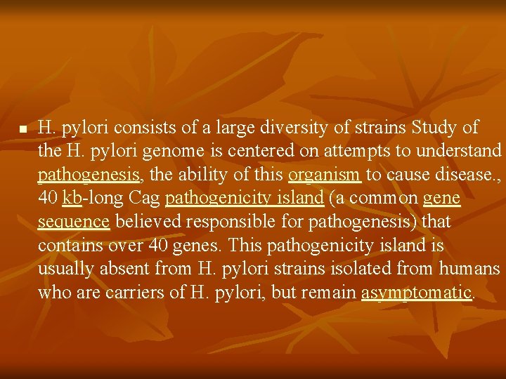 n H. pylori consists of a large diversity of strains Study of the H.