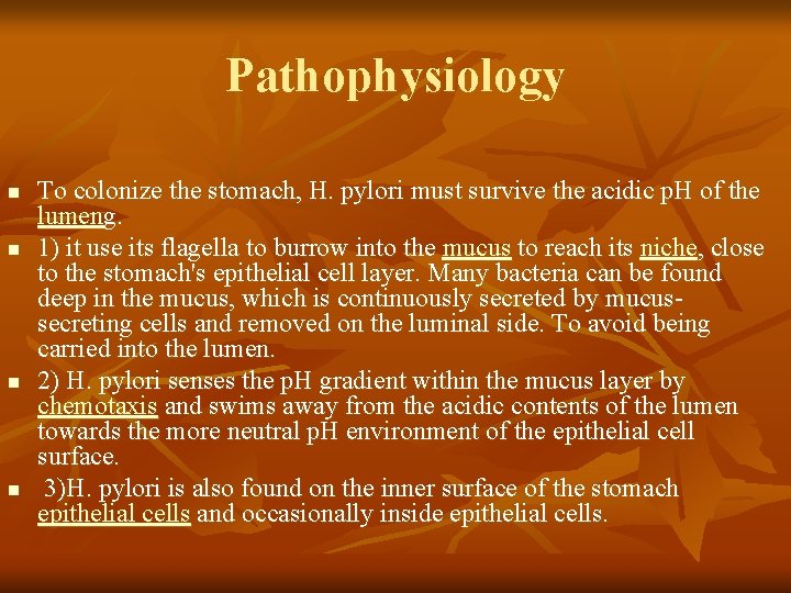 Pathophysiology n n To colonize the stomach, H. pylori must survive the acidic p.