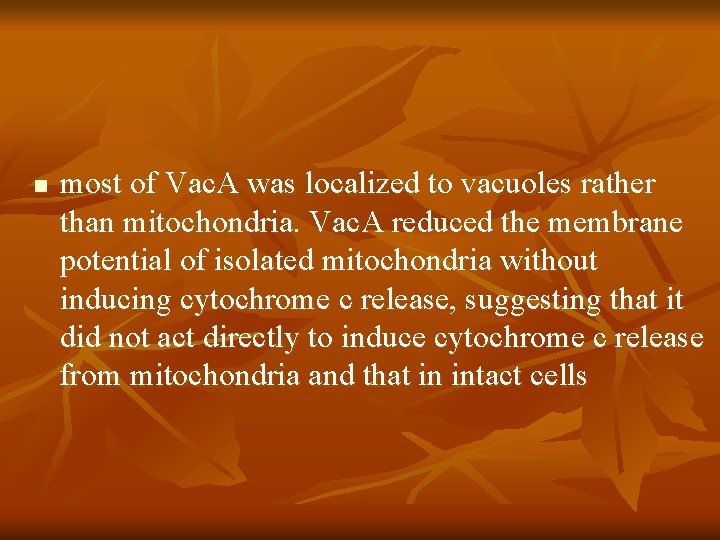 n most of Vac. A was localized to vacuoles rather than mitochondria. Vac. A