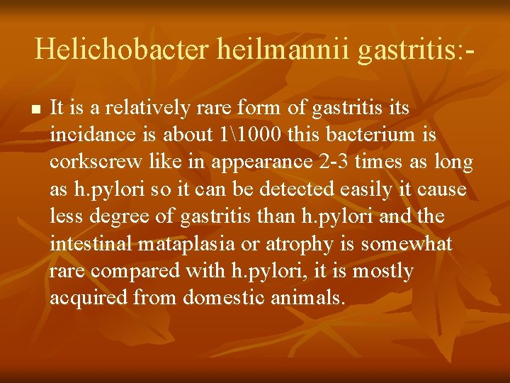 Helichobacter heilmannii gastritis: n It is a relatively rare form of gastritis its incidance