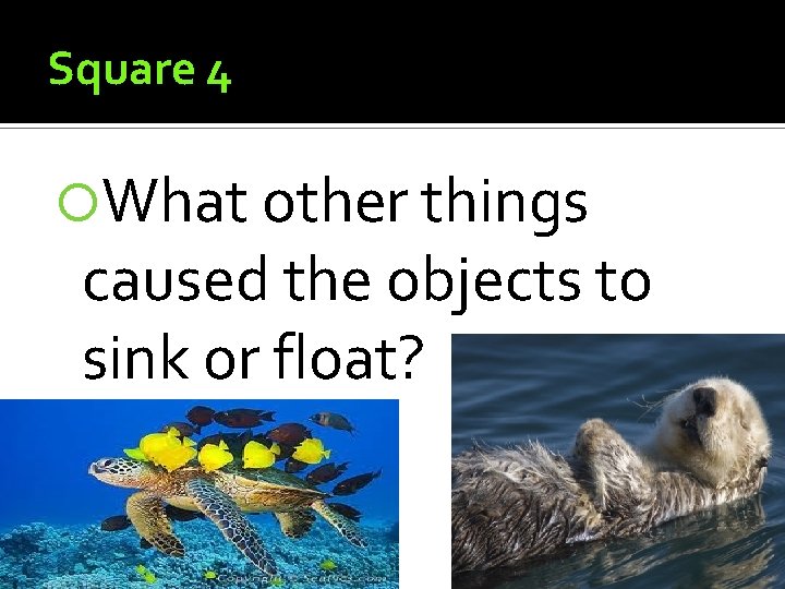 Square 4 What other things caused the objects to sink or float? 