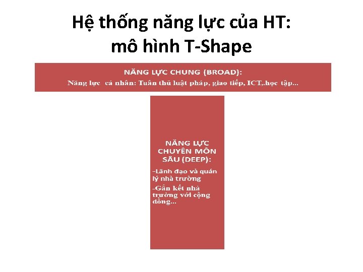 Hệ thống năng lực của HT: mô hình T-Shape 