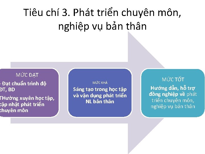 Tiêu chí 3. Phát triển chuyên môn, nghiệp vụ bản thân MỨC ĐẠT -