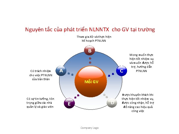 Nguyên tắc của phát triển NLNNTX cho GV tại trường Tham gia XD và