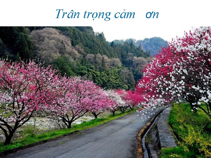 Trân trọng cảm ơn 